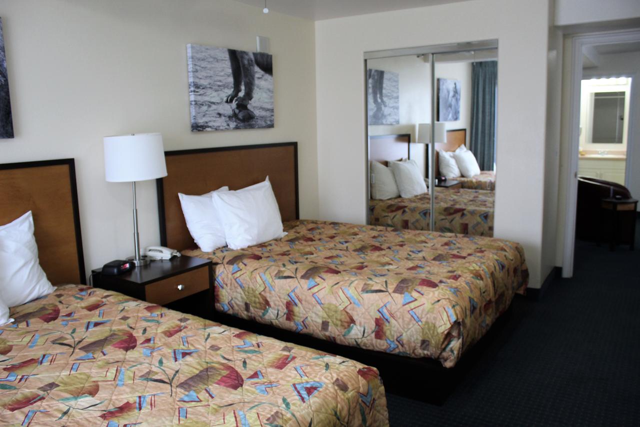 Puffin Inn - thumb 5