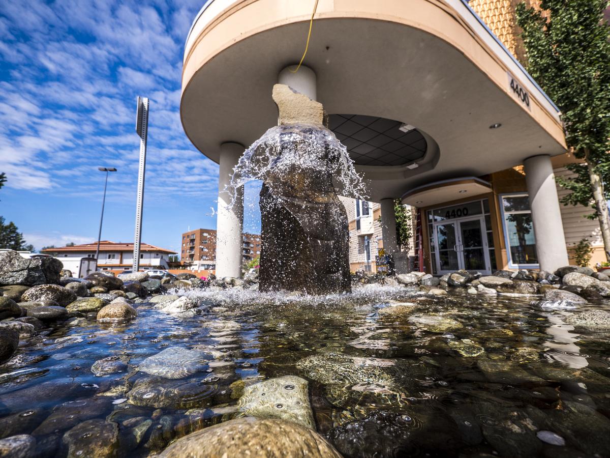 Puffin Inn - thumb 44