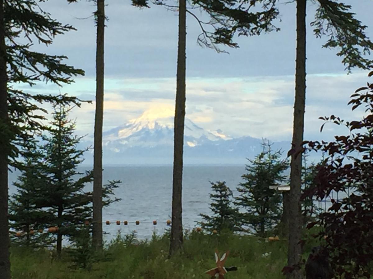 Ocean Bluff B&B - thumb 22