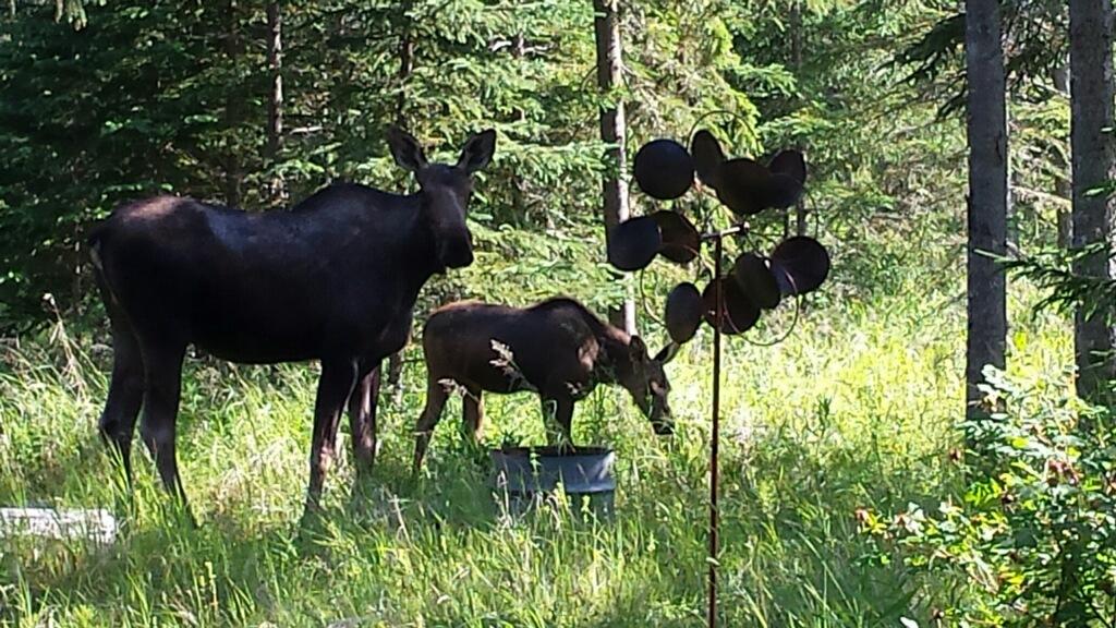 Ocean Bluff B&B - thumb 24