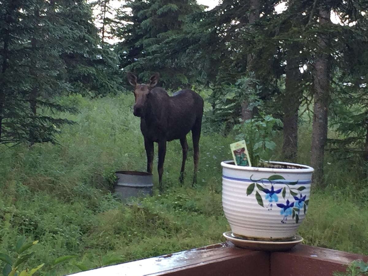 Ocean Bluff B&B - thumb 7