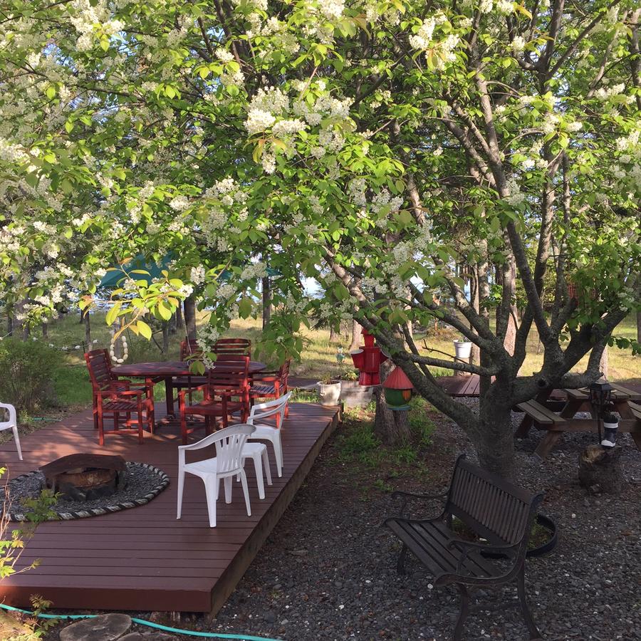 Ocean Bluff B&B - thumb 9