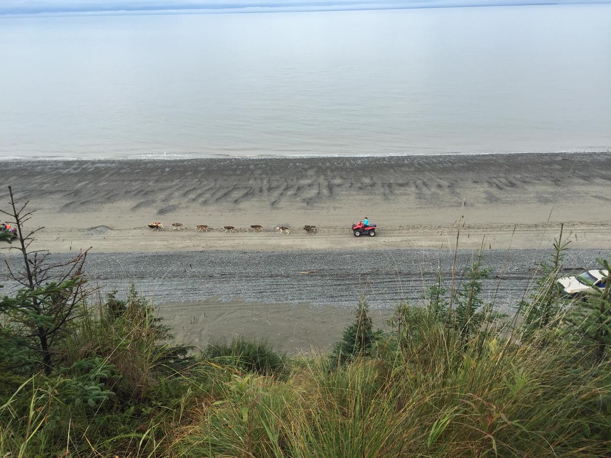 Ocean Bluff B&B - thumb 23