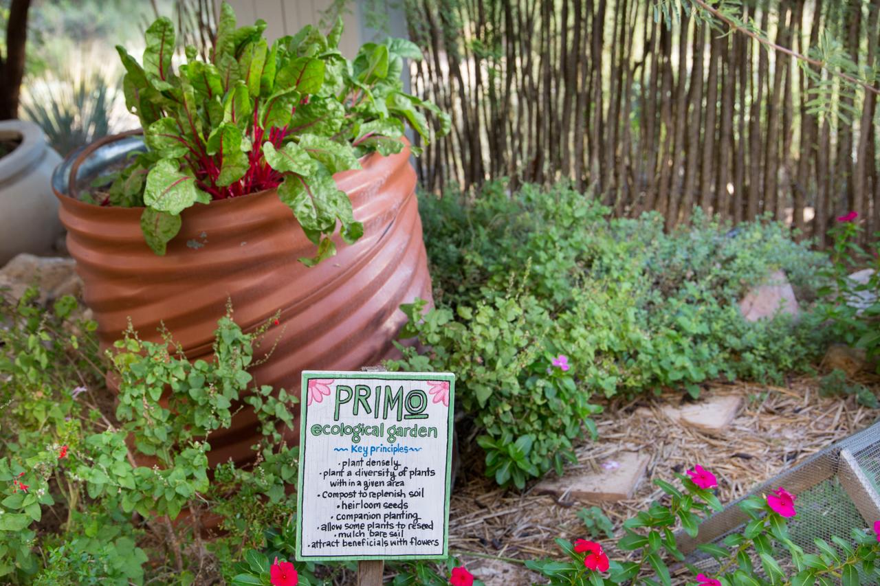 JW Marriott Tucson Starr Pass Resort - thumb 28