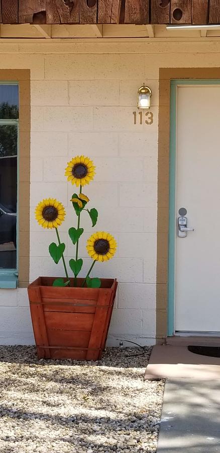 Desert Canyon Inn - thumb 7