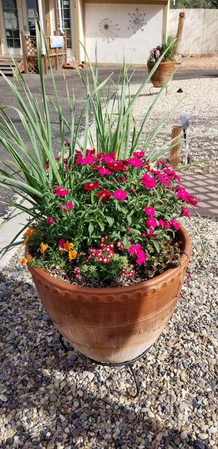 Desert Canyon Inn - thumb 14