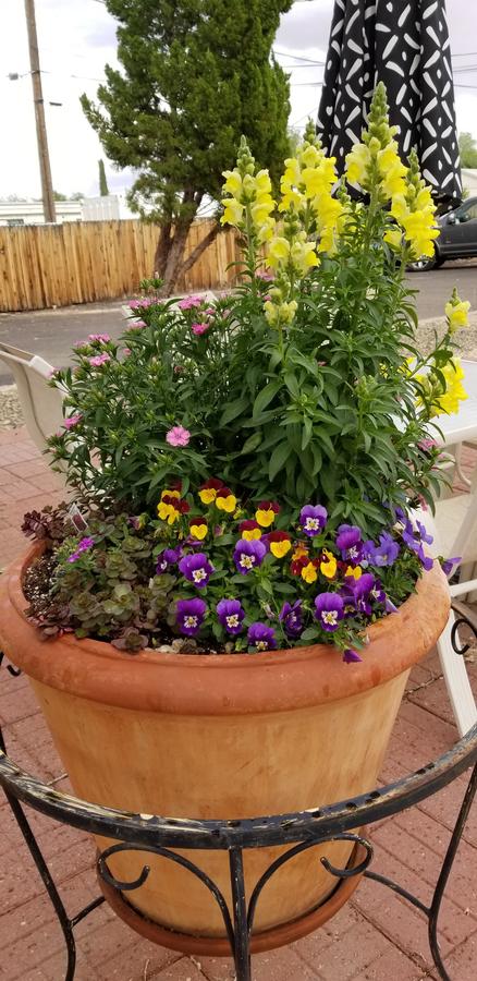 Desert Canyon Inn - thumb 13