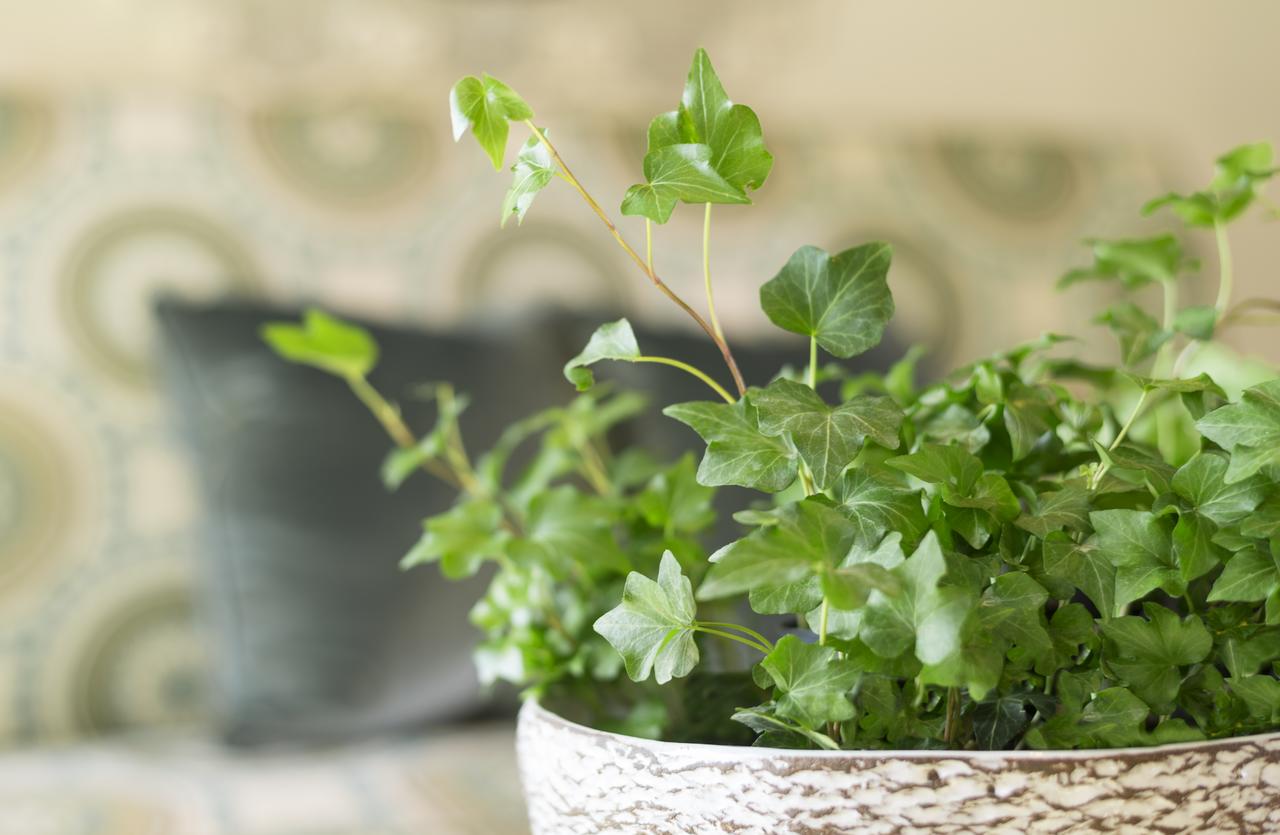 Ayres Suites Diamond Bar - thumb 28