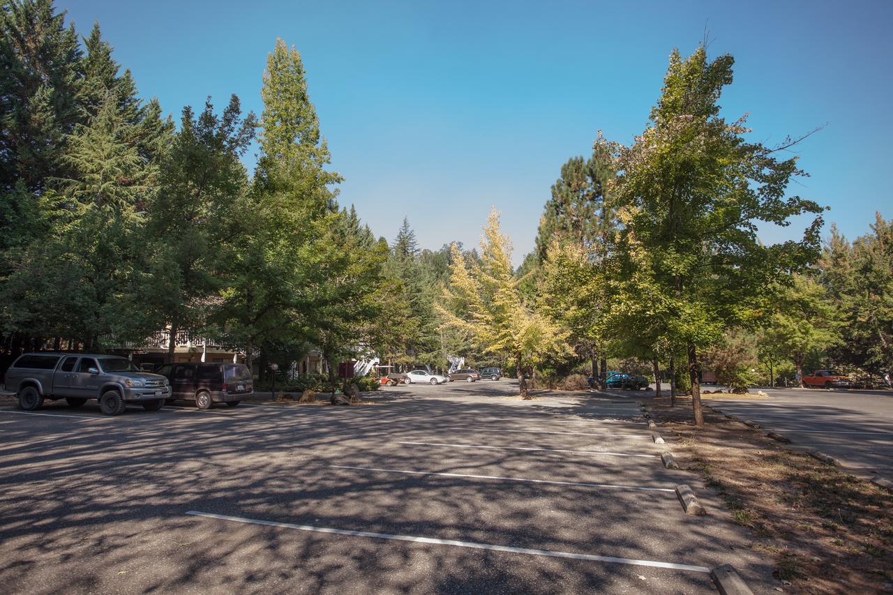 Northern Queen Inn - thumb 16