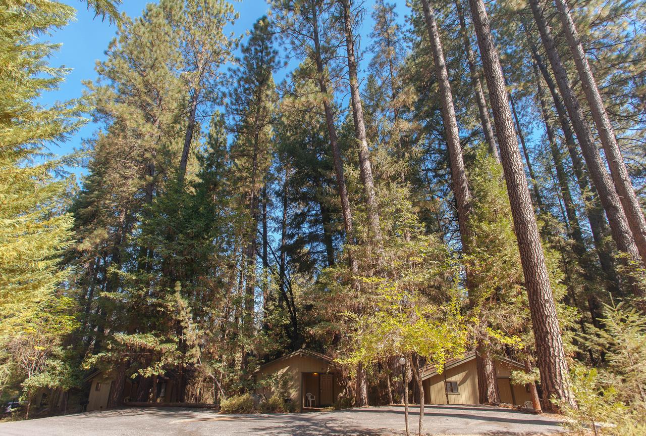 Northern Queen Inn - thumb 17