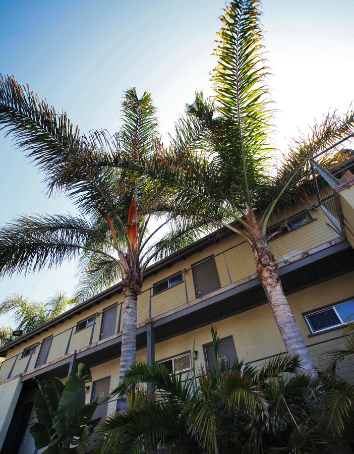 The M Malibu - thumb 9