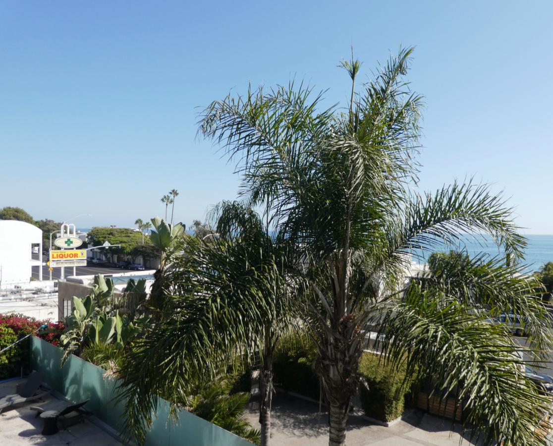 The M Malibu - thumb 2