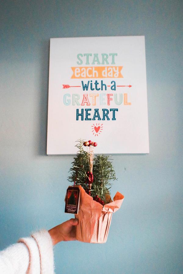 Seaside Laguna Inn & Suites - thumb 2