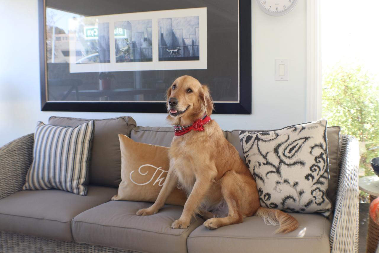 Seaside Laguna Inn & Suites - thumb 37