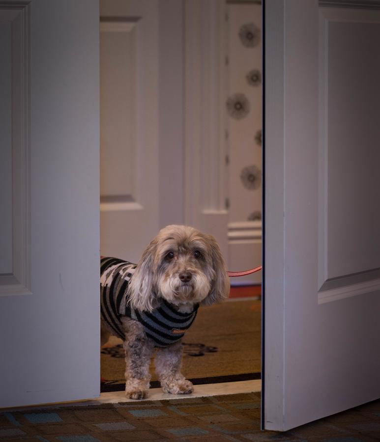 Hotel Shattuck Plaza - thumb 28