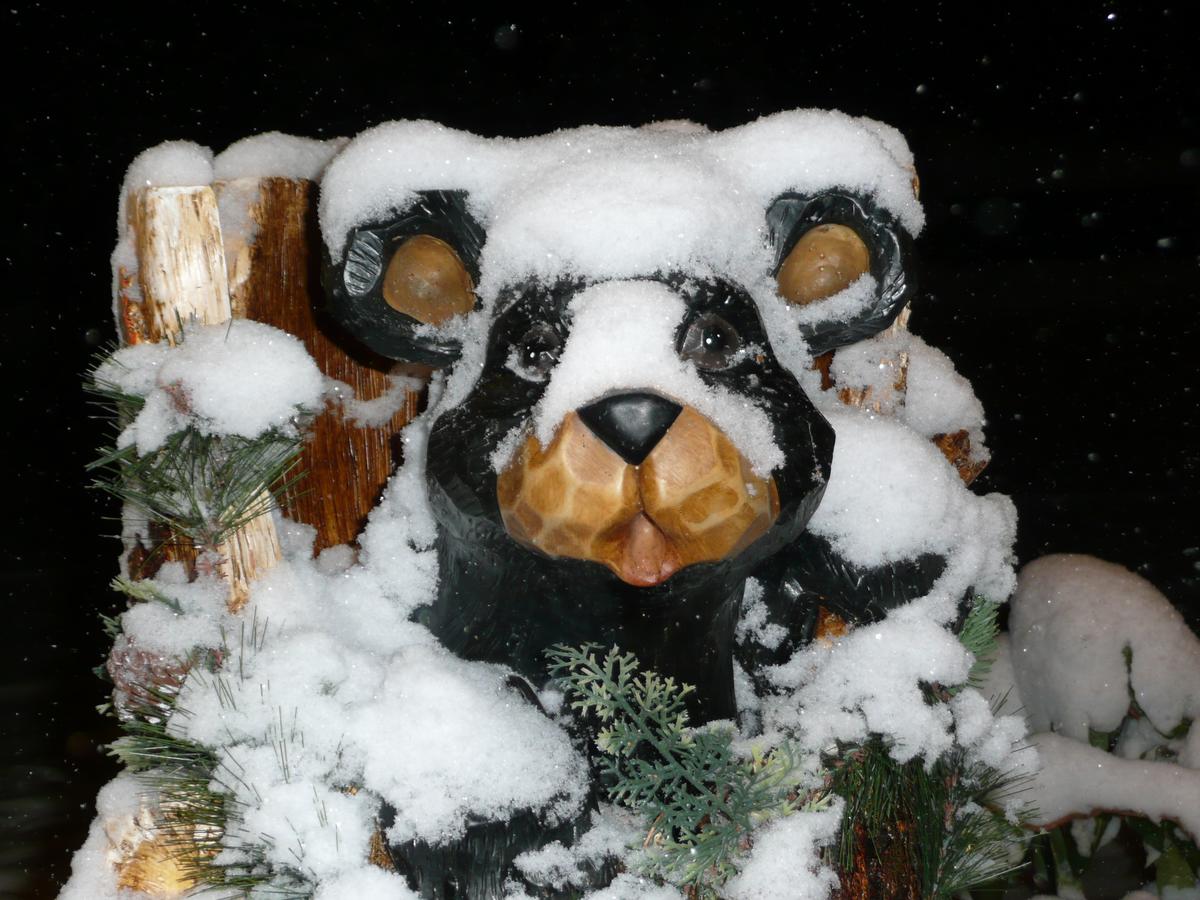 Alpenrose Inn - thumb 4