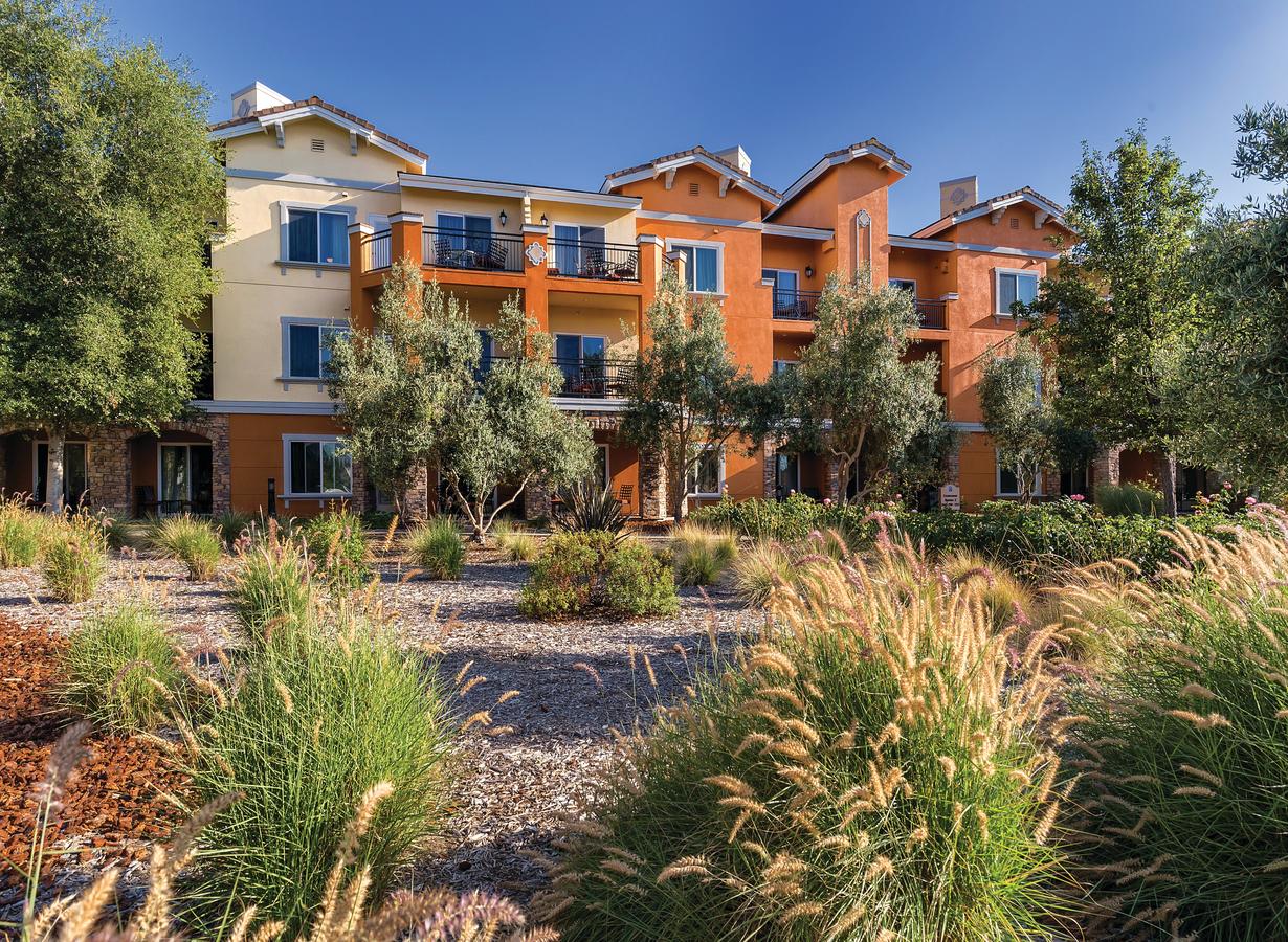 Vino Bello Resort - thumb 3