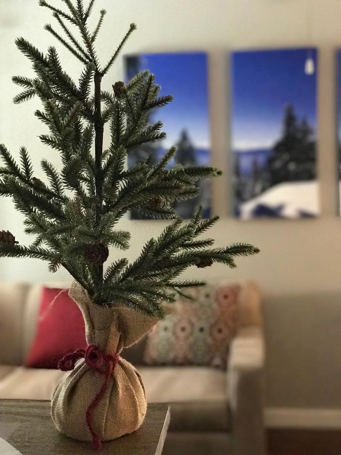 7 Seas Inn At Tahoe - thumb 8