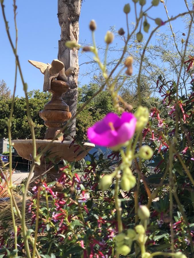 Casa Del Sol - thumb 39