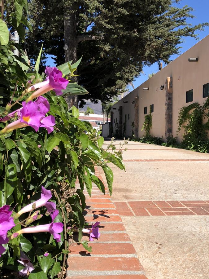 Casa Del Sol - thumb 36