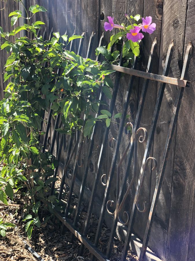 Casa Del Sol - thumb 35