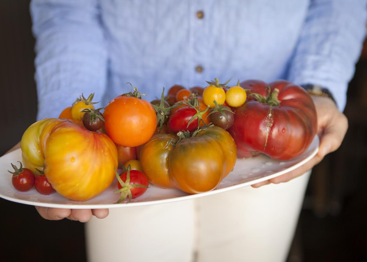 El Dorado Hotel - thumb 19