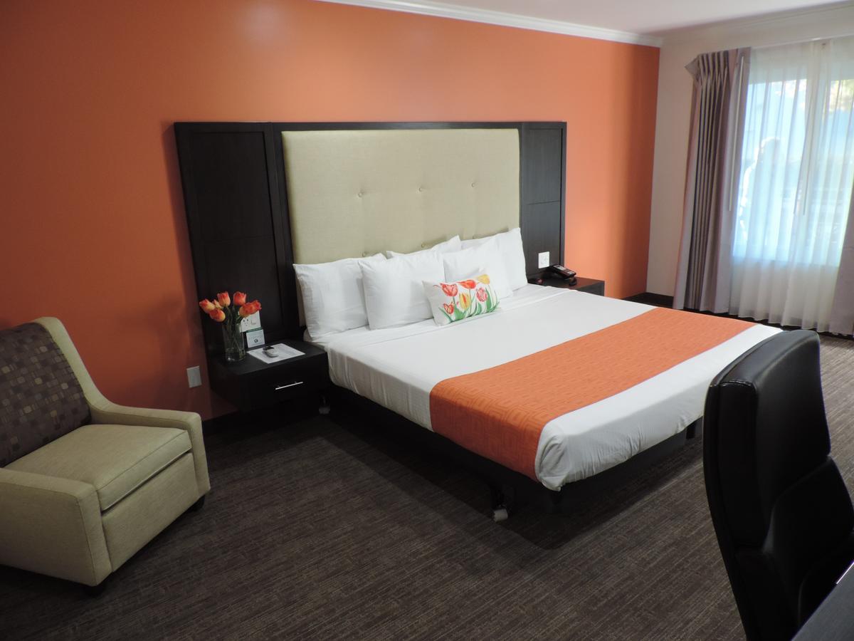 Pavilion Inn - thumb 7