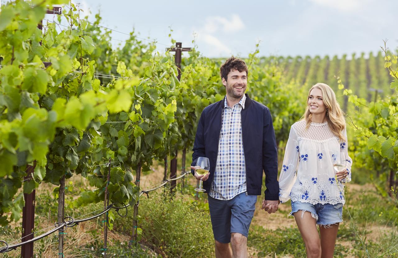 Carneros Resort And Spa - thumb 40