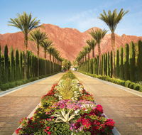 La Quinta Resort  Club A Waldorf Astoria Resort - Accommodation Alabama