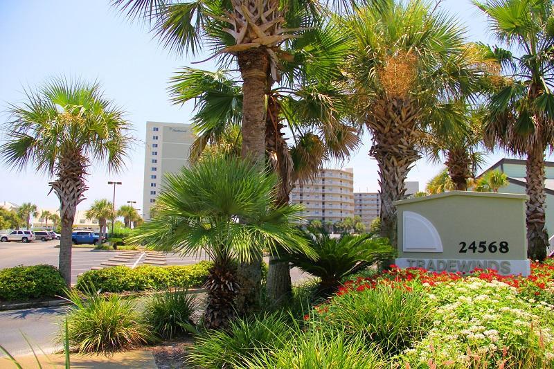 TradeWinds 903 - thumb 21