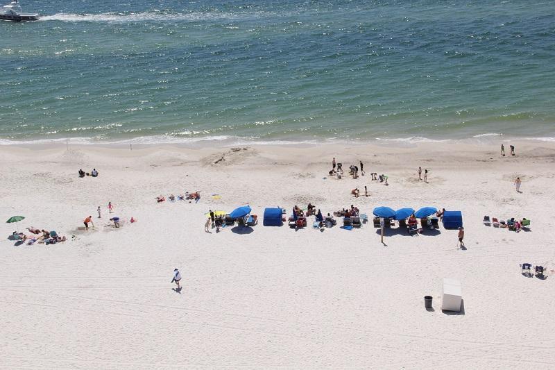 TradeWinds 903 - thumb 16