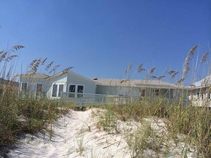 A Whale Of A Time Home