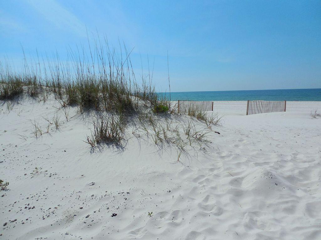 SeaHouse Beach Houses At Gulf Shores - thumb 22