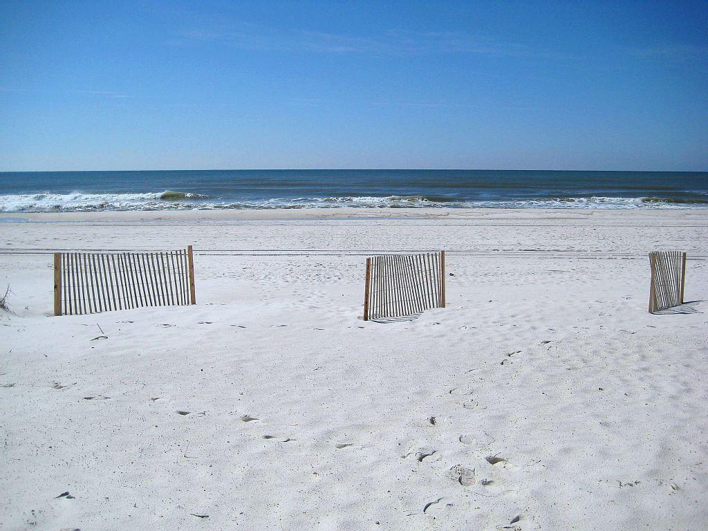 SeaHouse Beach Houses At Gulf Shores - thumb 21