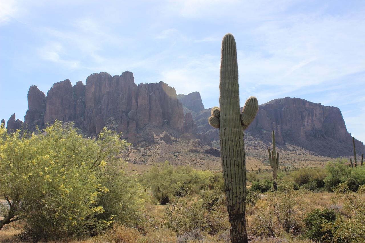 Luxury 2 Bedroom 1.5 Bath Condo AZ - thumb 5