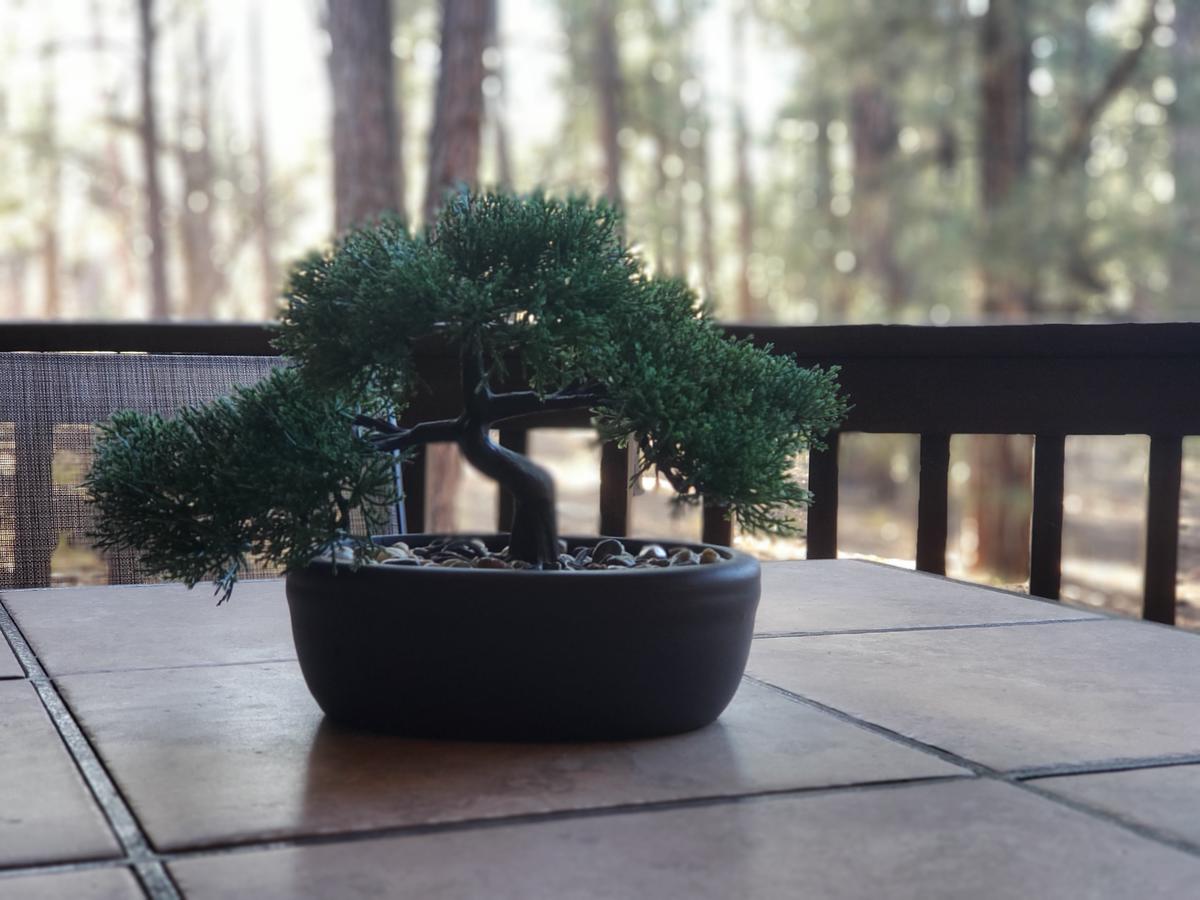 Rockcress Retreat - thumb 38