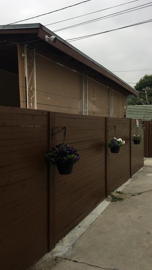 TRANQUIL REFUGE IN NORTHEAST CITY - thumb 13