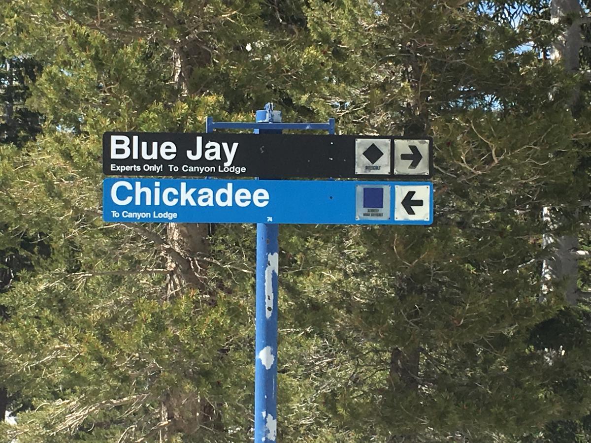 Blue Jay Chalet - thumb 42