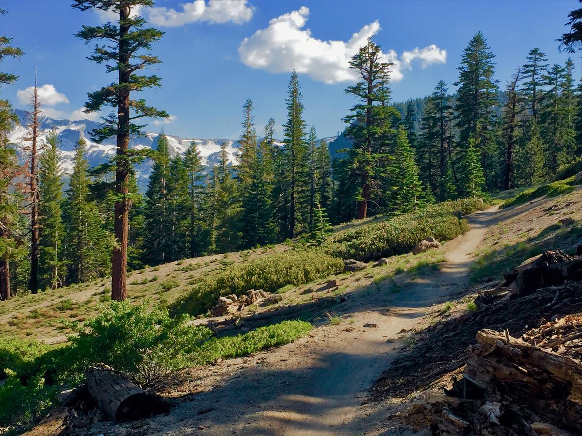 Blue Jay Chalet - thumb 33