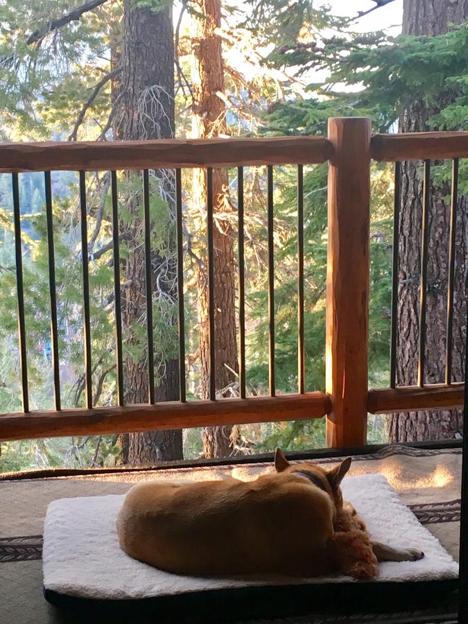 Blue Jay Chalet - thumb 30