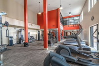 Amazing Apartments near the grove Accommodation Alabama