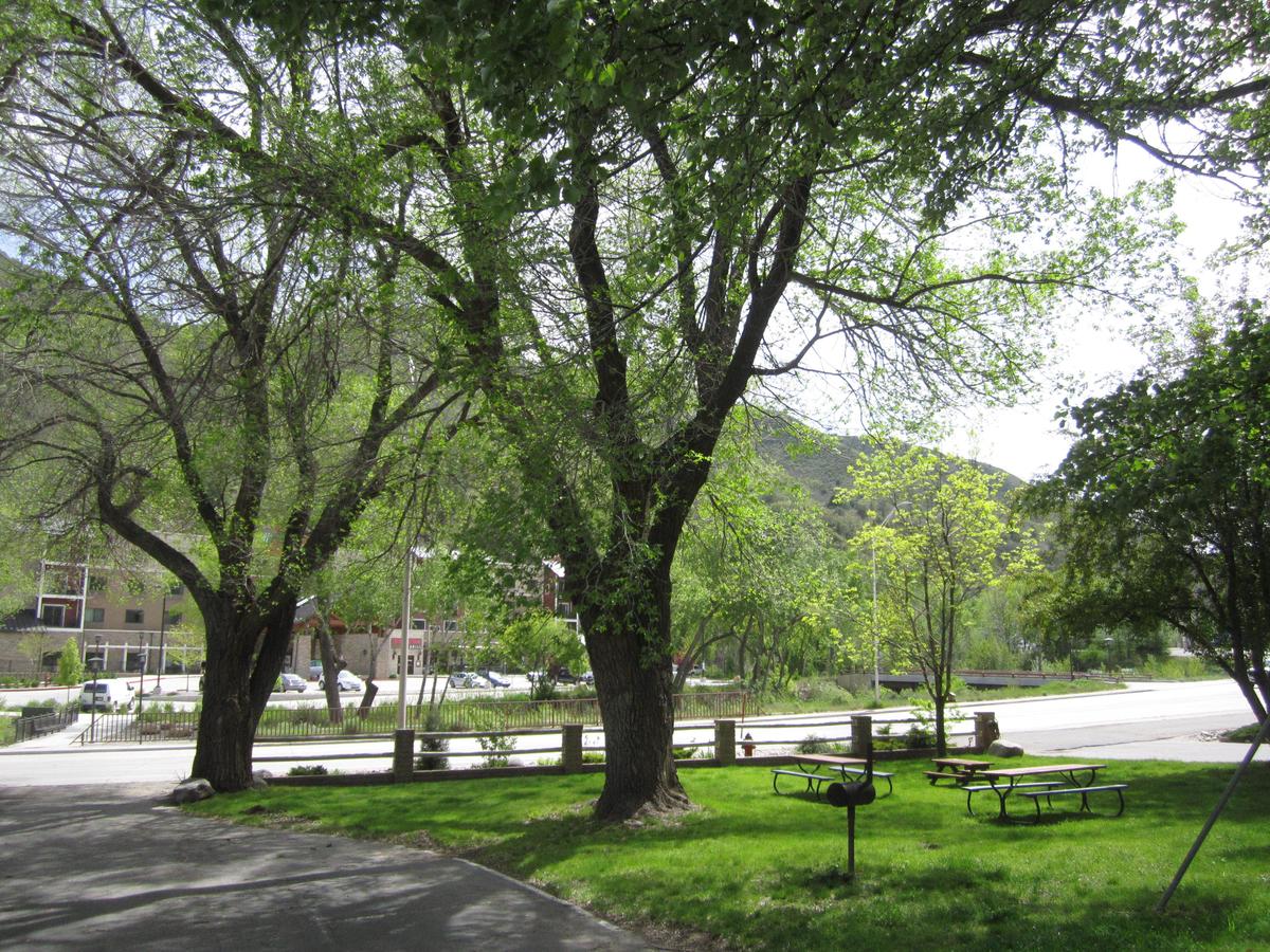 Wapiti Lodge - thumb 29