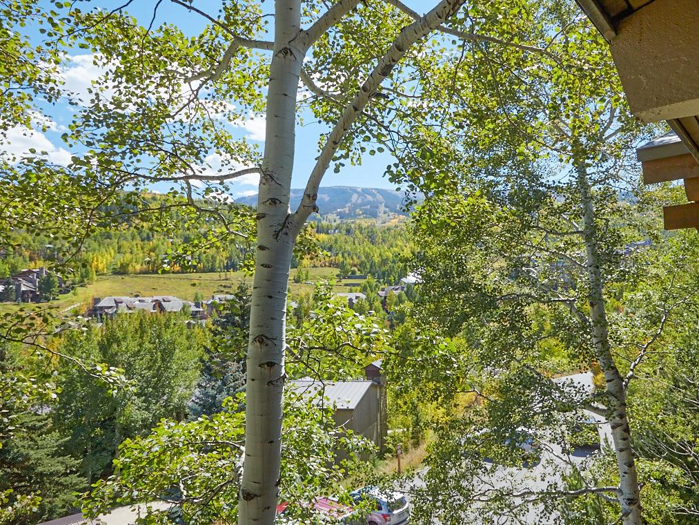 Alpine Condo In Snowmass Village - thumb 22