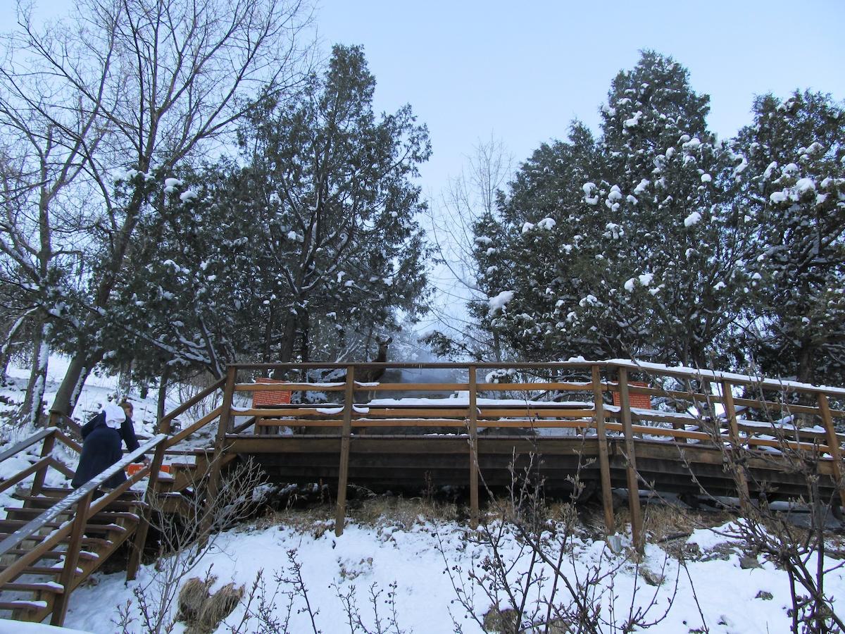 Box Canyon Lodge And Hot Springs - thumb 12