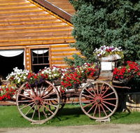 Daven Haven Lodge  Cabins - Accommodation Alabama