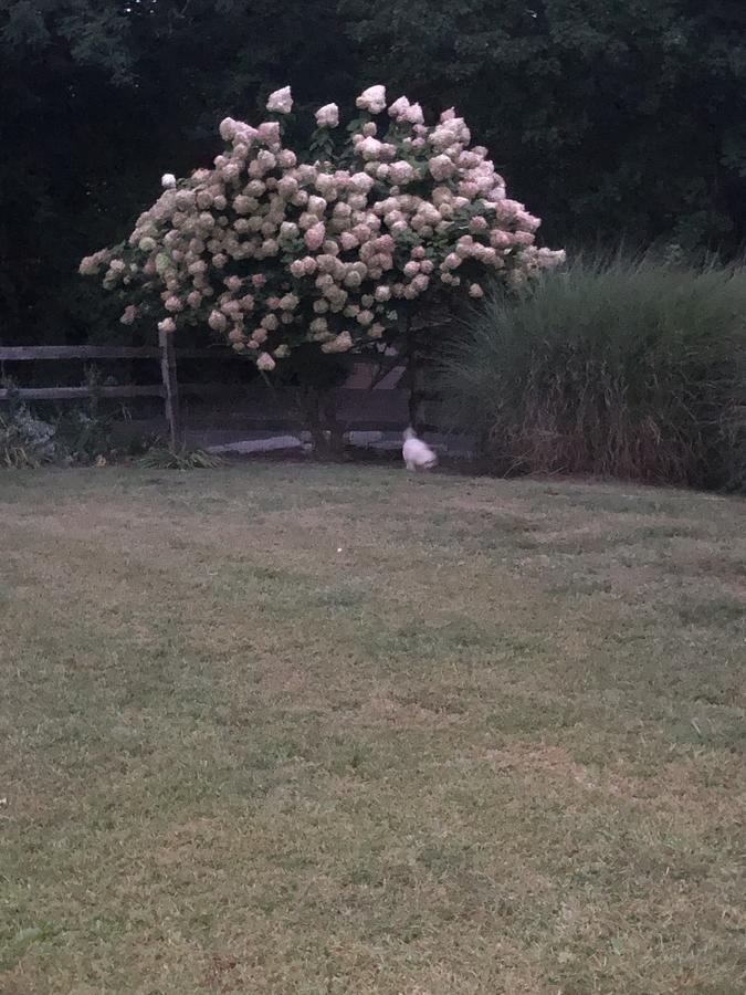 14 Charles St Apartment - thumb 11