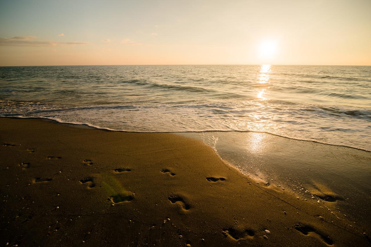 Island House - thumb 9