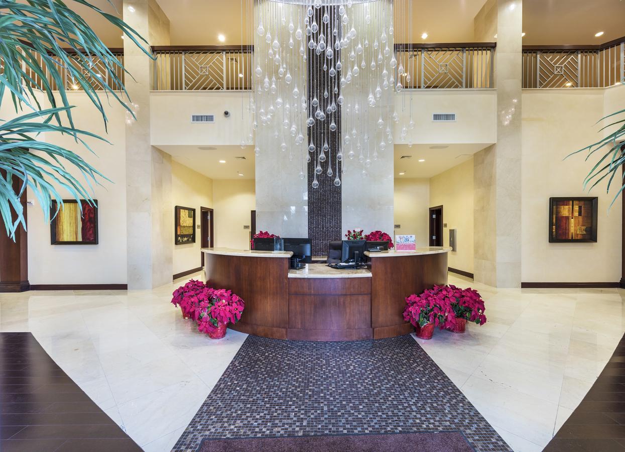 Modern Studio Close To The Beach - thumb 14