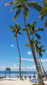 Atlantic Bch Fl Accommodation Alabama