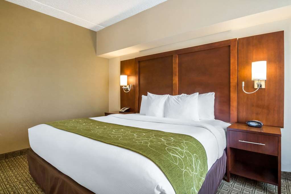 Comfort Suites At Woodbridge - thumb 10
